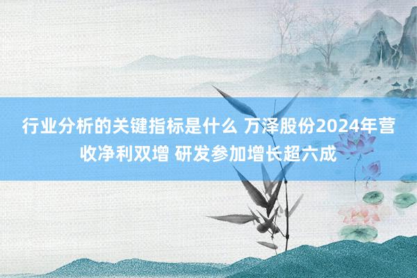 行业分析的关键指标是什么 万泽股份2024年营收净利双增 研