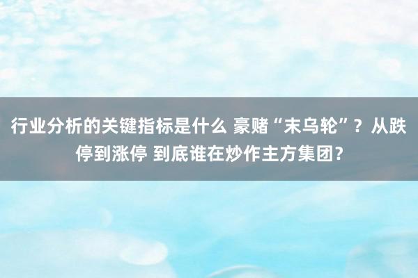 行业分析的关键指标是什么 豪赌“末乌轮”？从跌停到涨停 到底