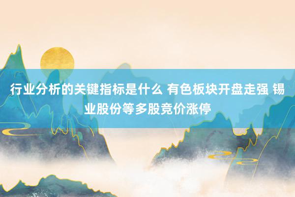 行业分析的关键指标是什么 有色板块开盘走强 锡业股份等多股竞