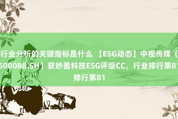 行业分析的关键指标是什么 【ESG动态】中视传媒（60008