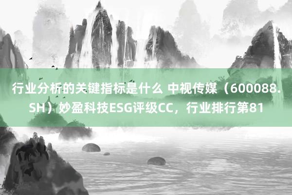 行业分析的关键指标是什么 中视传媒（600088.SH）妙盈