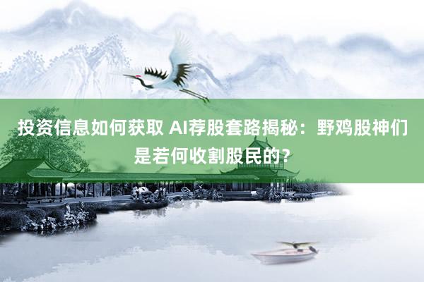 投资信息如何获取 AI荐股套路揭秘：野鸡股神们是若何收割股民的？