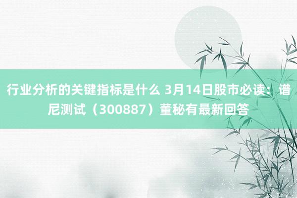 行业分析的关键指标是什么 3月14日股市必读：谱尼测试（30