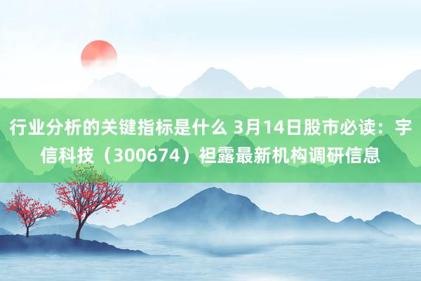 行业分析的关键指标是什么 3月14日股市必读：宇信科技（30